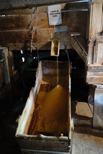  - 2019 MAI 18 POIANA NARCISELOR