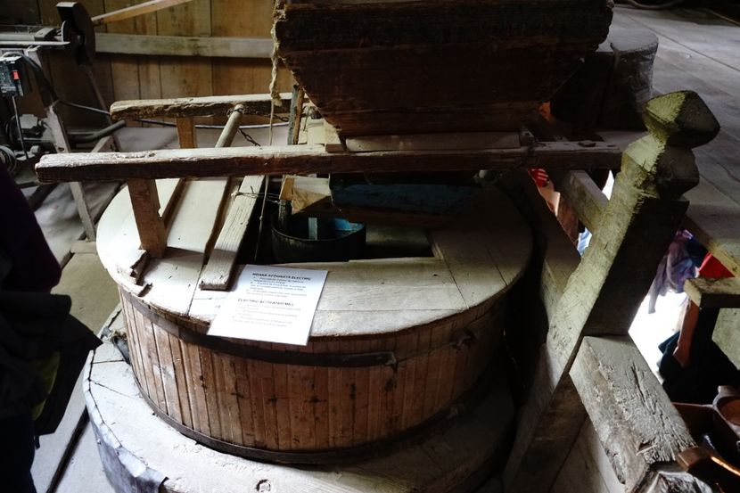  - 2019 MAI 18 POIANA NARCISELOR