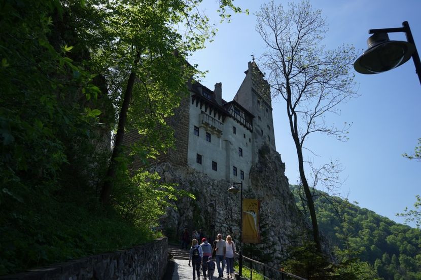  - 2019 MAI 18 POIANA NARCISELOR