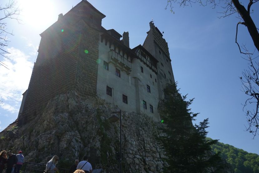  - 2019 MAI 18 POIANA NARCISELOR