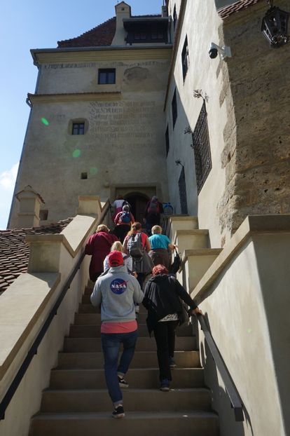  - 2019 MAI 18 POIANA NARCISELOR