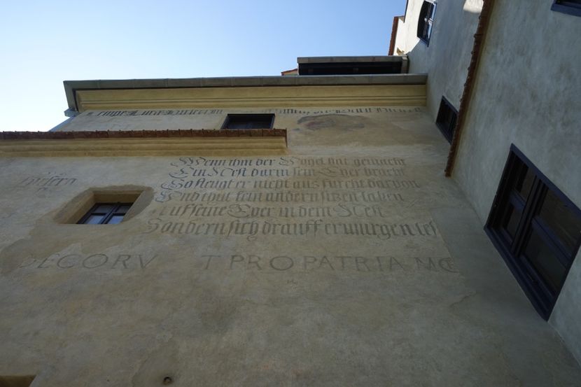  - 2019 MAI 18 POIANA NARCISELOR