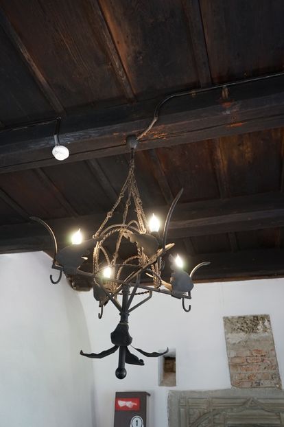  - 2019 MAI 18 POIANA NARCISELOR