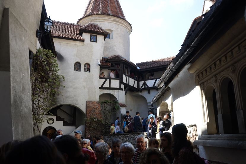  - 2019 MAI 18 POIANA NARCISELOR