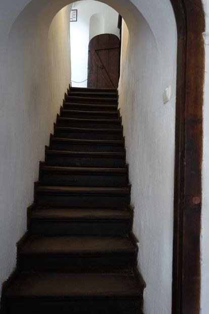  - 2019 MAI 18 POIANA NARCISELOR