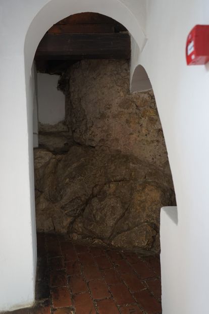  - 2019 MAI 18 POIANA NARCISELOR