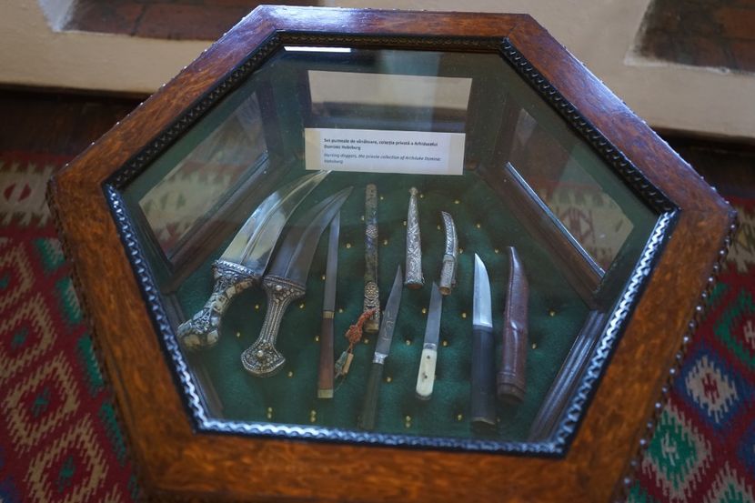  - 2019 MAI 18 POIANA NARCISELOR