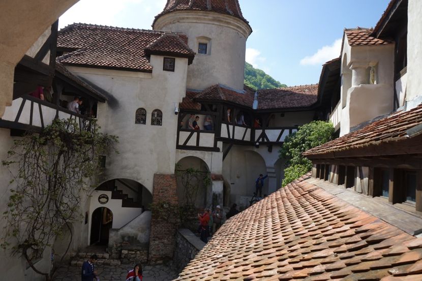  - 2019 MAI 18 POIANA NARCISELOR