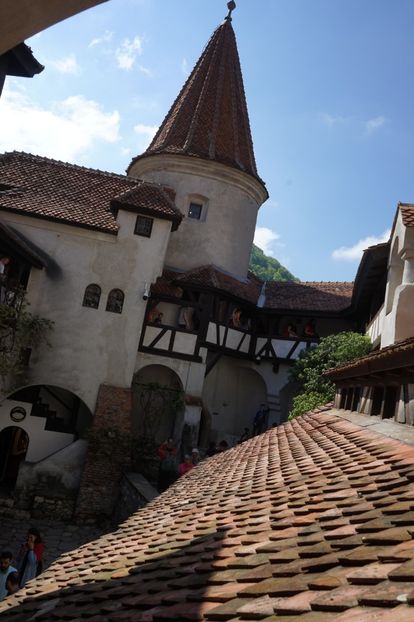  - 2019 MAI 18 POIANA NARCISELOR