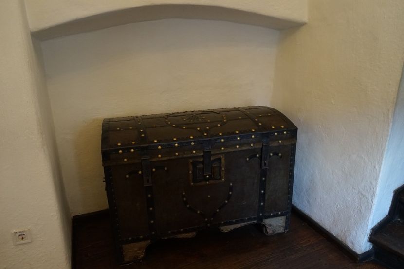  - 2019 MAI 18 POIANA NARCISELOR