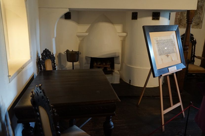  - 2019 MAI 18 POIANA NARCISELOR