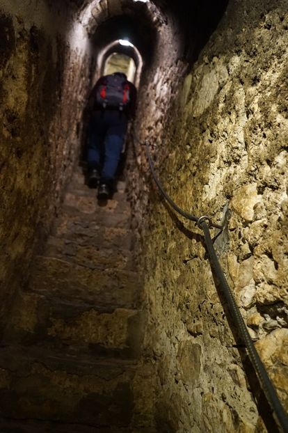  - 2019 MAI 18 POIANA NARCISELOR