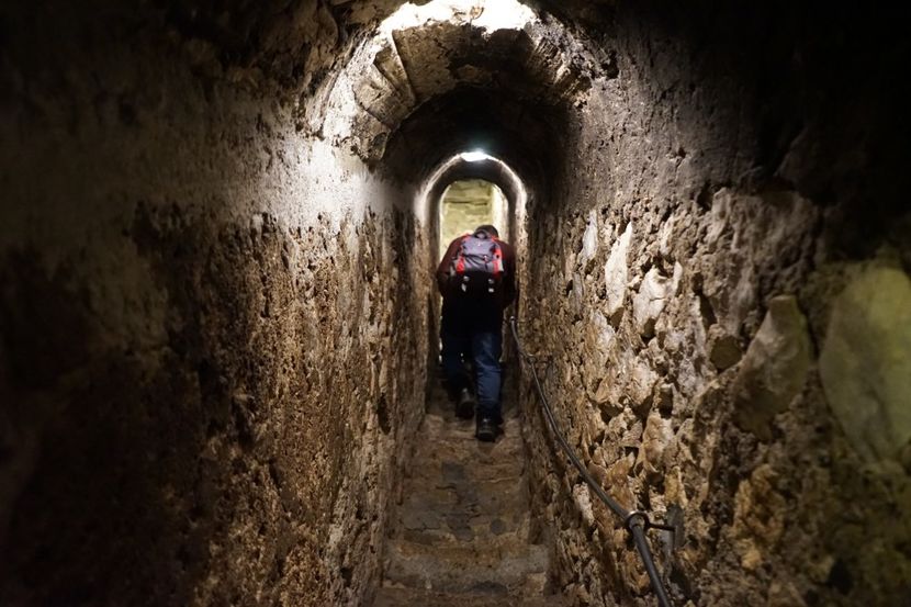  - 2019 MAI 18 POIANA NARCISELOR