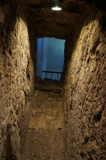  - 2019 MAI 18 POIANA NARCISELOR