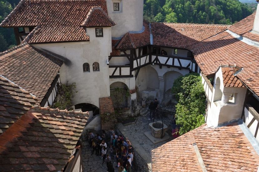  - 2019 MAI 18 POIANA NARCISELOR