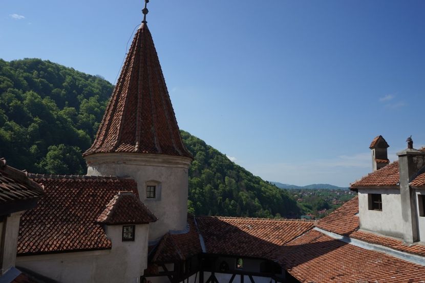  - 2019 MAI 18 POIANA NARCISELOR