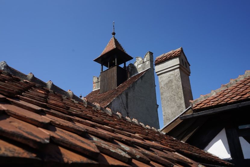  - 2019 MAI 18 POIANA NARCISELOR