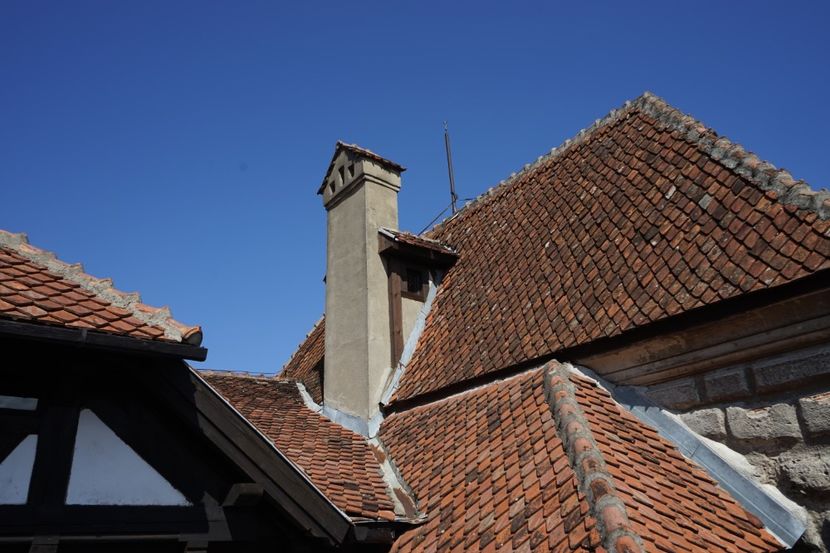  - 2019 MAI 18 POIANA NARCISELOR