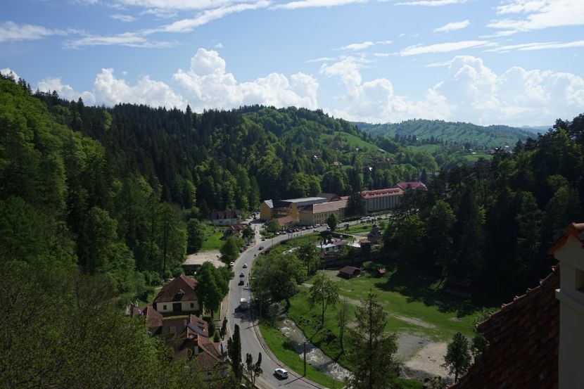  - 2019 MAI 18 POIANA NARCISELOR