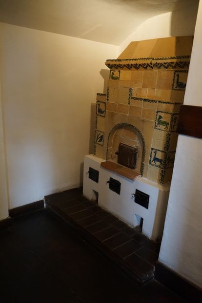  - 2019 MAI 18 POIANA NARCISELOR