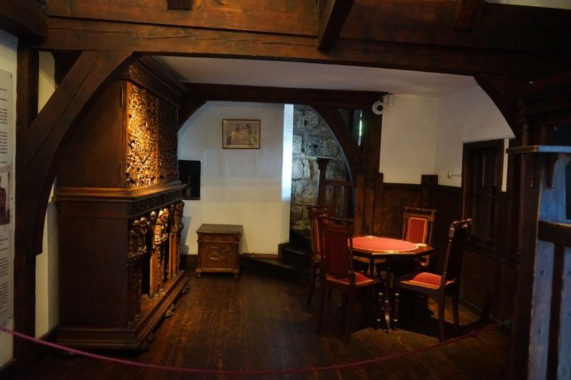  - 2019 MAI 18 POIANA NARCISELOR