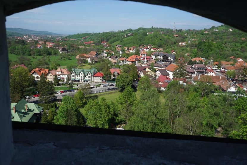  - 2019 MAI 18 POIANA NARCISELOR