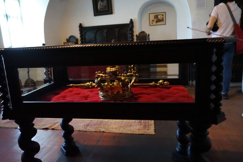  - 2019 MAI 18 POIANA NARCISELOR