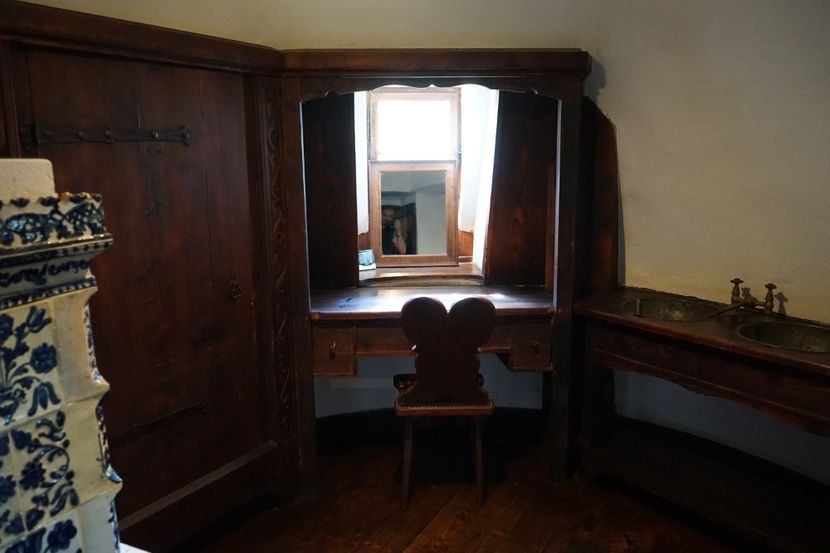  - 2019 MAI 18 POIANA NARCISELOR