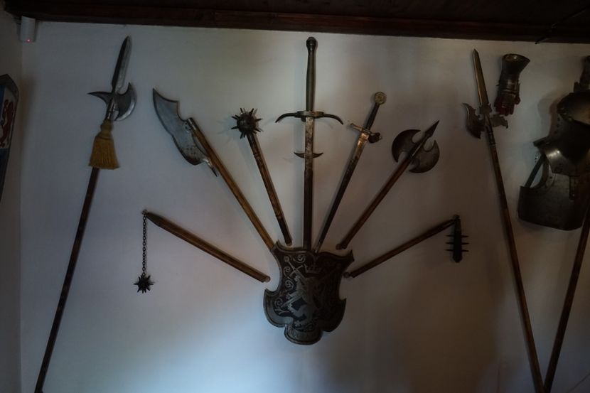  - 2019 MAI 18 POIANA NARCISELOR