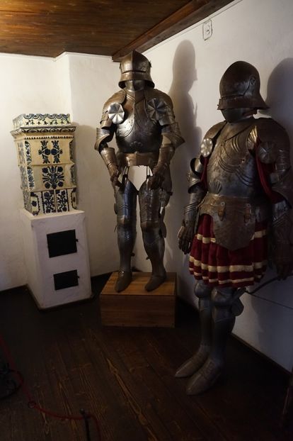  - 2019 MAI 18 POIANA NARCISELOR