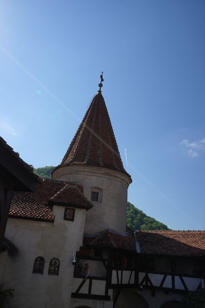  - 2019 MAI 18 POIANA NARCISELOR