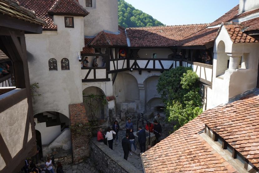  - 2019 MAI 18 POIANA NARCISELOR