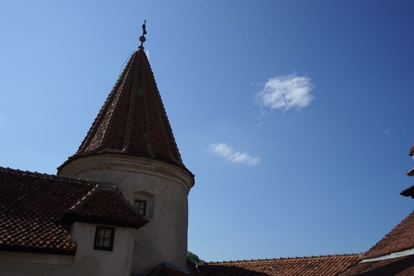  - 2019 MAI 18 POIANA NARCISELOR