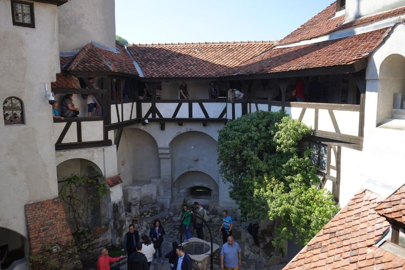  - 2019 MAI 18 POIANA NARCISELOR