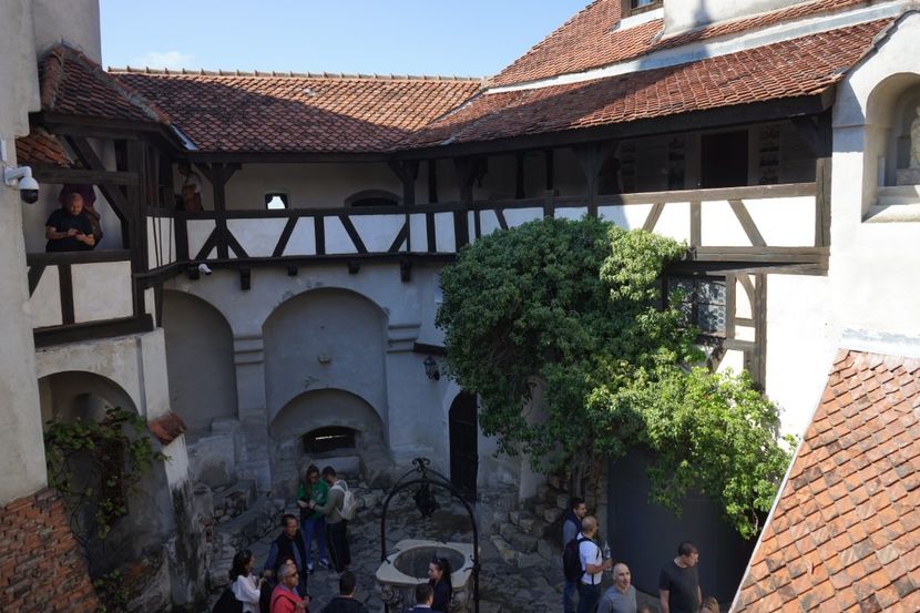  - 2019 MAI 18 POIANA NARCISELOR