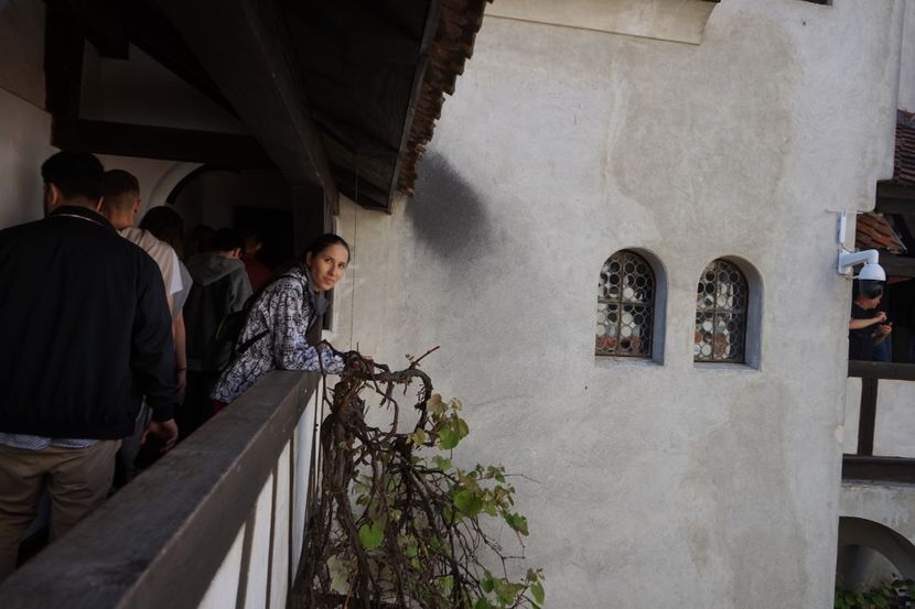  - 2019 MAI 18 POIANA NARCISELOR