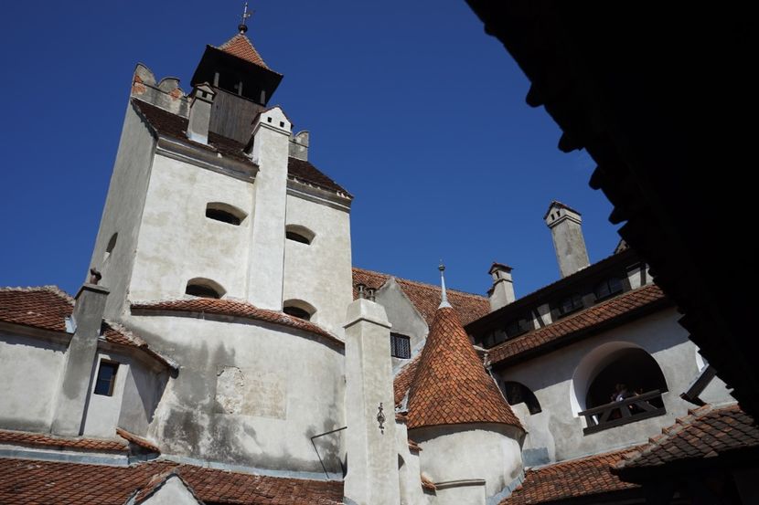  - 2019 MAI 18 POIANA NARCISELOR