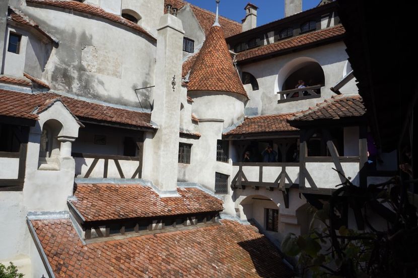  - 2019 MAI 18 POIANA NARCISELOR