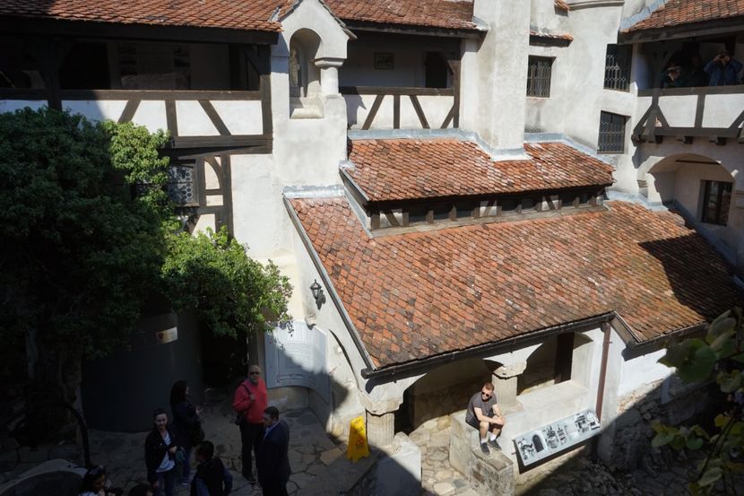  - 2019 MAI 18 POIANA NARCISELOR