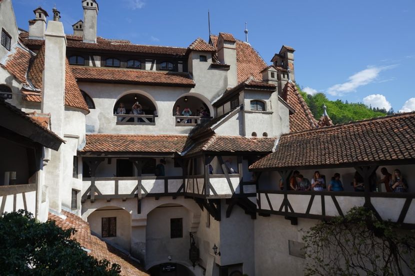  - 2019 MAI 18 POIANA NARCISELOR