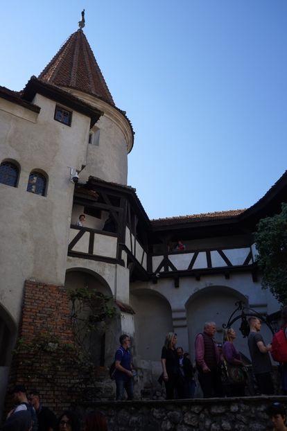  - 2019 MAI 18 POIANA NARCISELOR