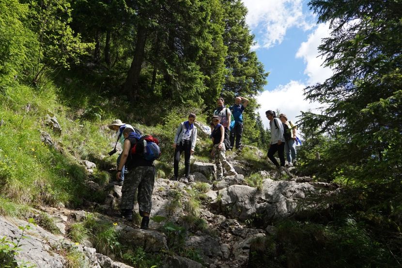  - 2019 IULIE SCROPOASA 7 IZVOARE