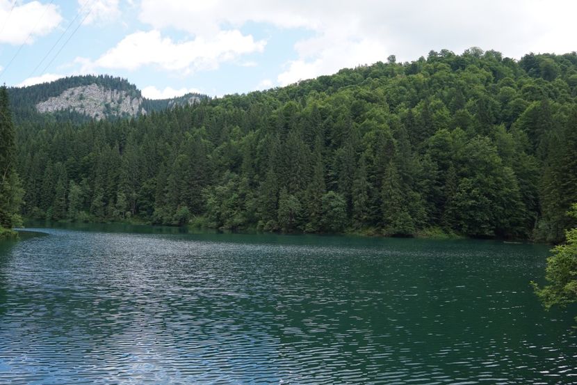  - 2019 IULIE SCROPOASA 7 IZVOARE