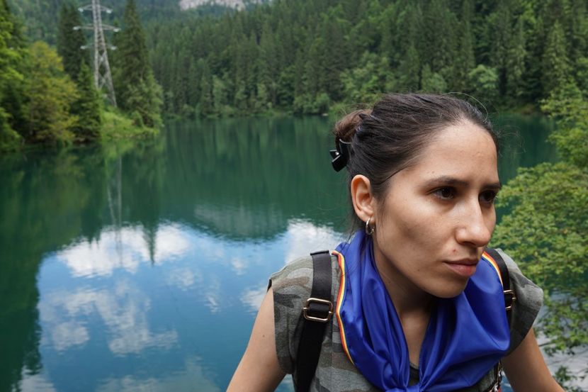  - 2019 IULIE SCROPOASA 7 IZVOARE