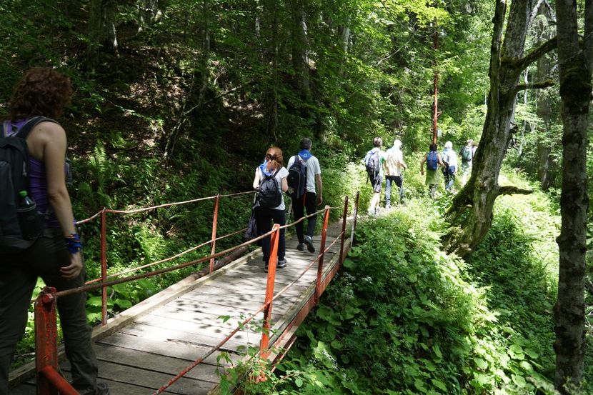  - 2019 IULIE SCROPOASA 7 IZVOARE