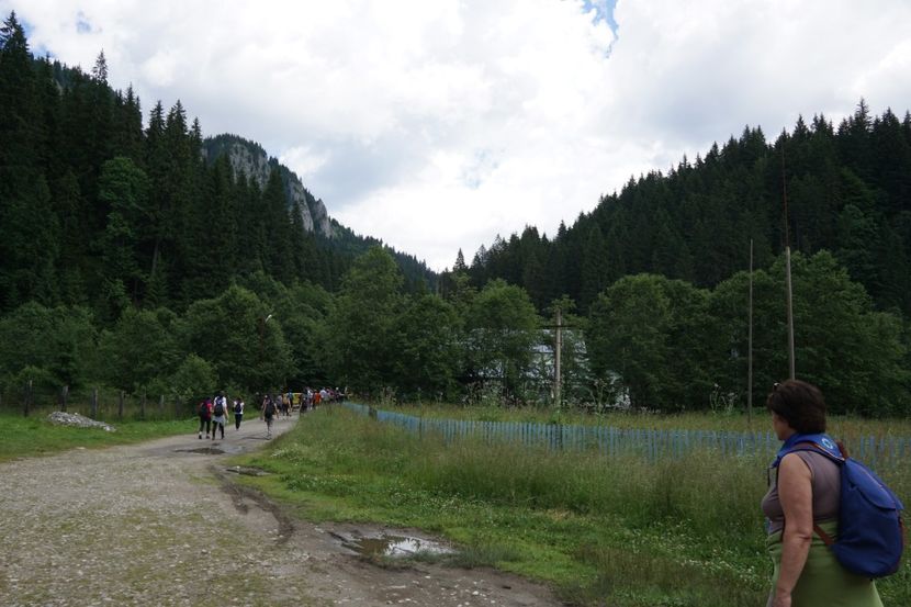  - 2019 IULIE SCROPOASA 7 IZVOARE