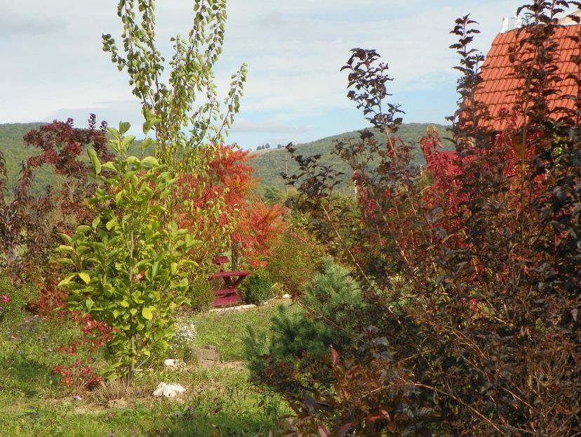 10 oct (107) - Dobarland 2019 4