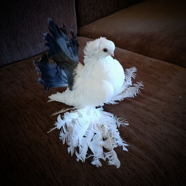  - Omsk si novocerkaski 2019