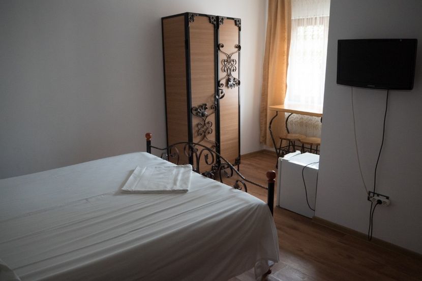 P5100262 - VIVATRONIK 1