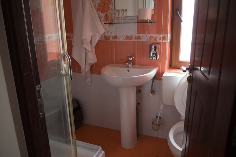 P5100263 - VIVATRONIK 1